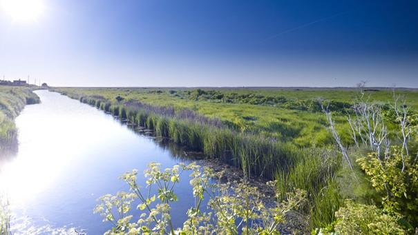 Salthouse Marshes